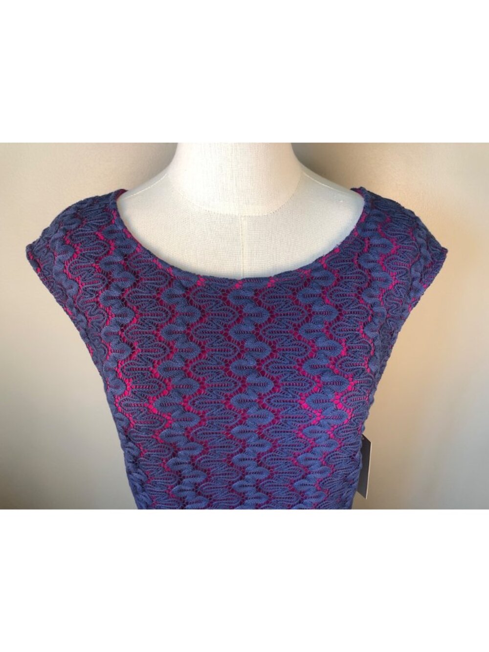 NWT Ellie Kai Emily Dress Fuchsia Sheath Dress With Navy Lace Overlay Size 10 - Picture 2 of 12